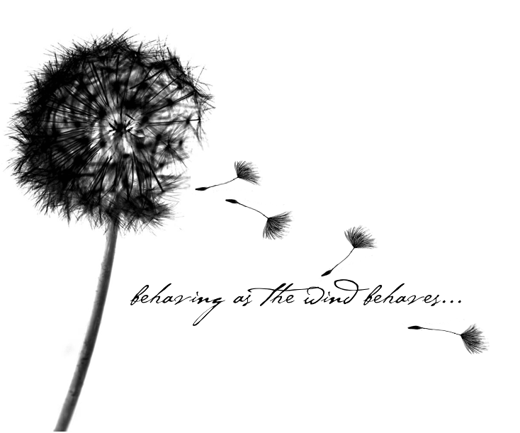 1014061833 tatoos design dandelion quotes tatoo 12900