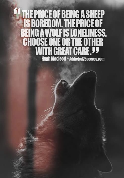 747728061 wolf sheep inspirational picture quote