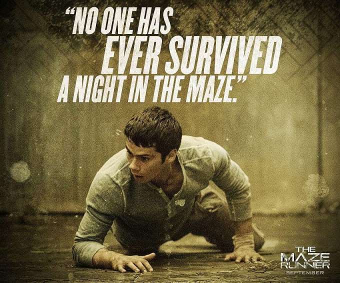 desktop wallpaper the maze runner film movie quotes and the maze runner