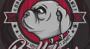 Fascinating Facts about Pitbulls