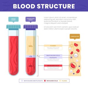 FUN FACTS ABOUT AB NEGATIVE BLOOD TYPE visual data 8