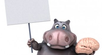 Surprising and Interesting Facts about Hippos