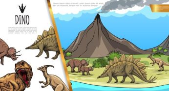 Amazing Stegosaurus Facts
