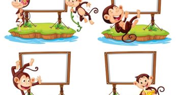 Fun Monkey Facts for Kids