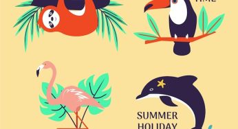 Discover Fascinating Flamingo Facts for Kids
