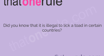 Ridiculous Facts – Unbelievable Trivia That Will Leave You Speechless